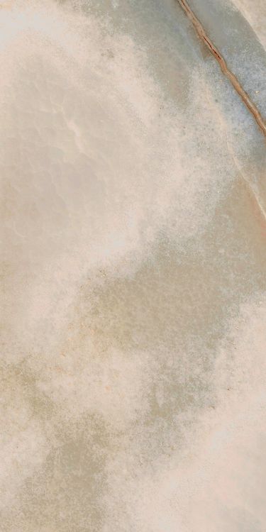 Reves Noisette Matte 12 x 24